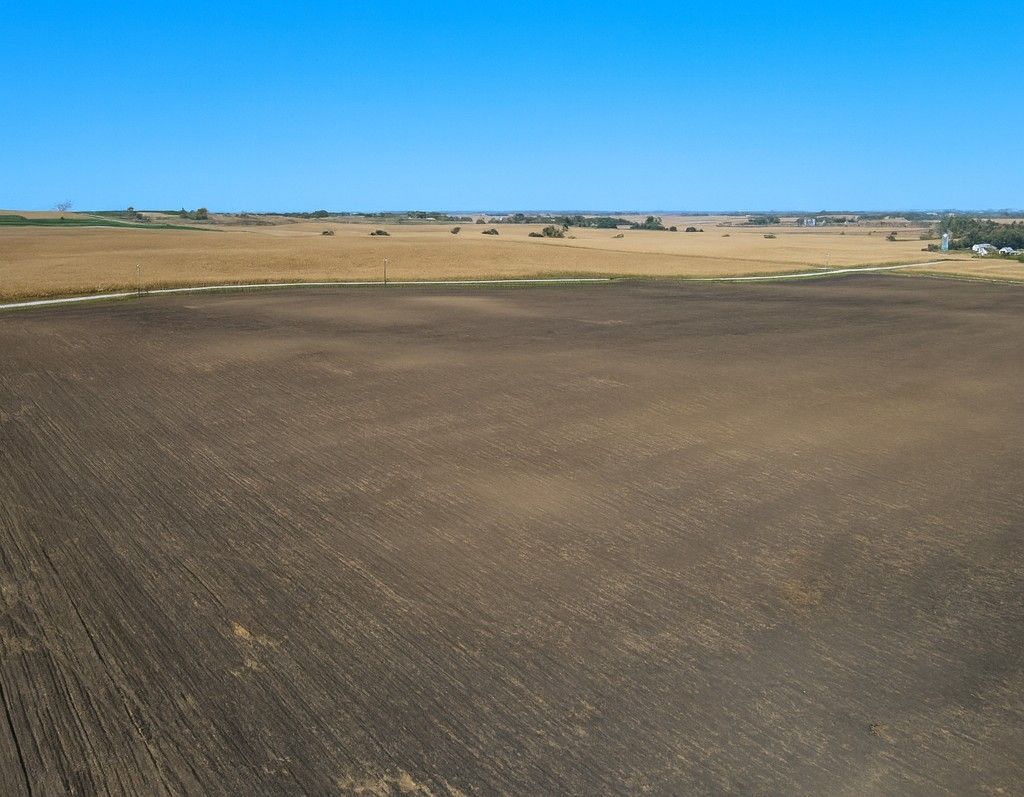 Listing Photo: Faribault County, MN - 80.39 acres
